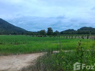 For sale land in Si Satchanalai, Sukhothai
