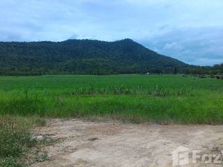 For sale land in Si Satchanalai, Sukhothai