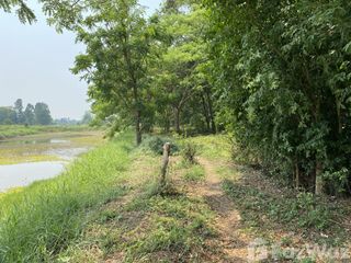 For sale land in Manorom, Chainat