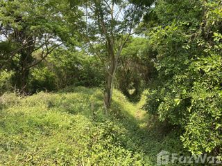 For sale land in Manorom, Chainat