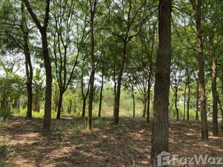 For sale land in Manorom, Chainat