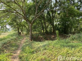 For sale land in Manorom, Chainat