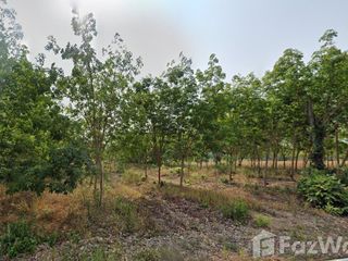 For sale land in Pa Tio, Yasothon