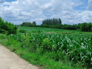 For sale land in Wang Sombun, Sa Kaeo