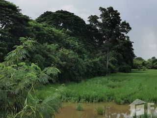 For sale land in Sao Hai, Saraburi
