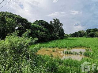 For sale land in Sao Hai, Saraburi