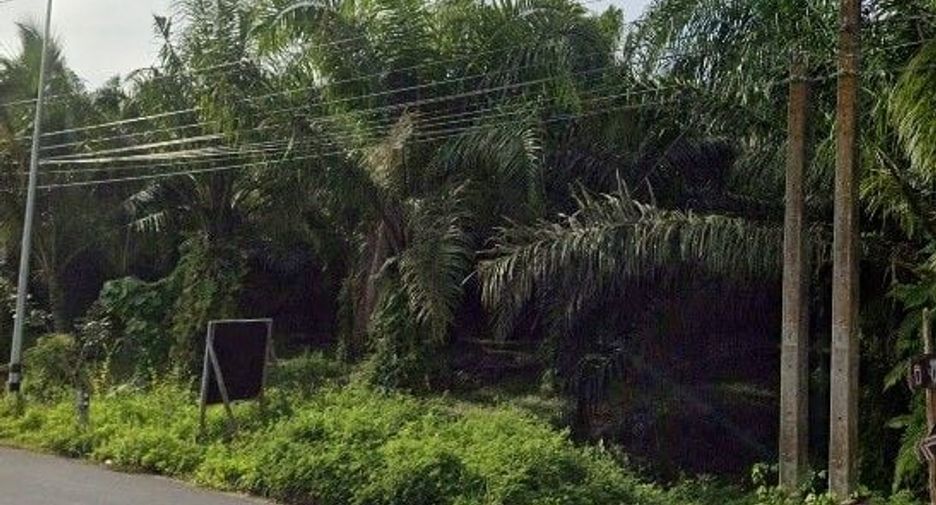 For sale land in Thap Put, Phang Nga
