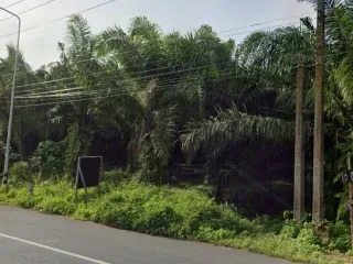 For sale land in Thap Put, Phang Nga