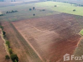 For sale land in Bamnet Narong, Chaiyaphum
