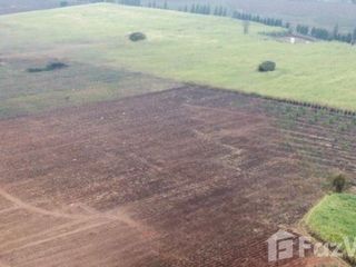 For sale land in Bamnet Narong, Chaiyaphum