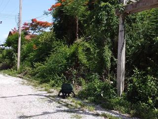 For sale land in Cha Am, Phetchaburi
