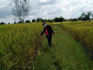 For sale land in Mueang Khon Kaen, Khon Kaen