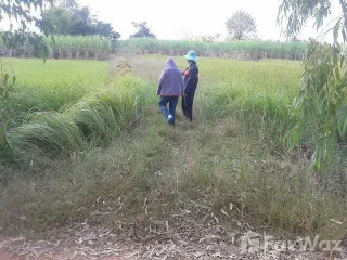 For sale land in Mueang Khon Kaen, Khon Kaen