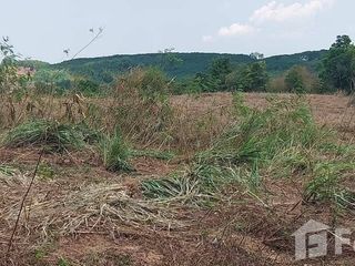For sale land in Nam Nao, Phetchabun