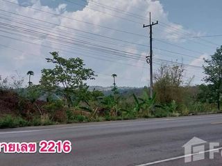 For sale land in Nam Nao, Phetchabun