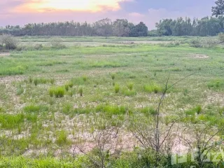For sale land in Khueang Nai, Ubon Ratchathani