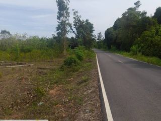 For sale land in Tha Chang, Surat Thani