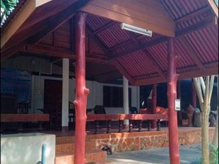 For sale land in Dan Sai, Loei