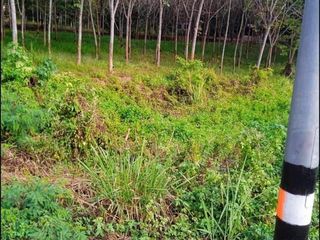 For sale land in Dan Sai, Loei