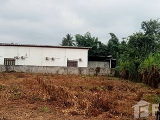 For sale land in Chiang Khan, Loei