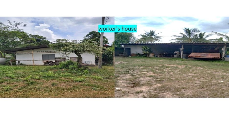 For sale land in Ko Chan, Chonburi