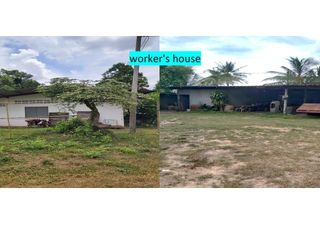 For sale land in Ko Chan, Chonburi