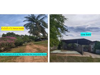 For sale land in Ko Chan, Chonburi