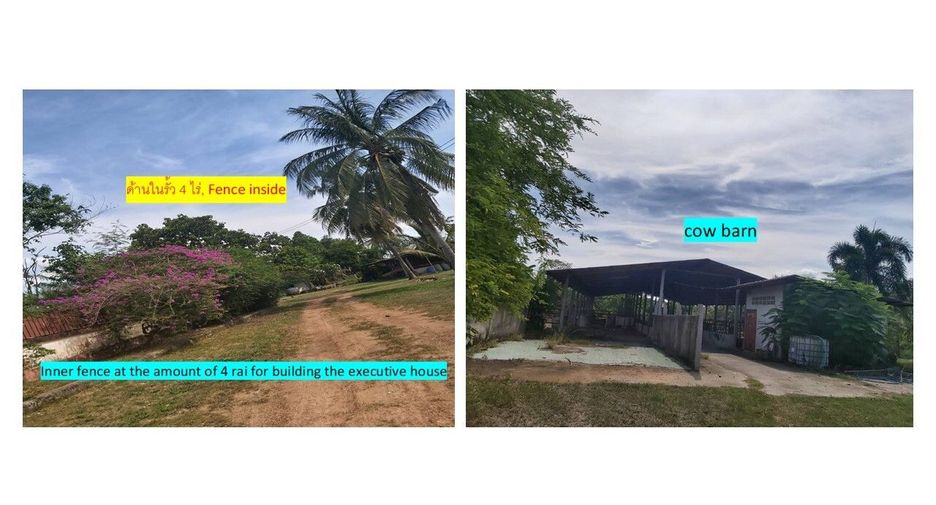 For sale land in Ko Chan, Chonburi