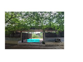For sale land in Ko Chan, Chonburi