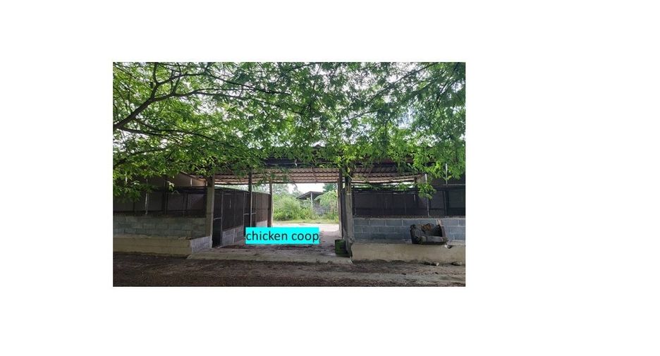 For sale land in Ko Chan, Chonburi