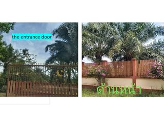 For sale land in Ko Chan, Chonburi