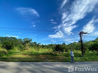 For sale land in Pa Phayom, Phatthalung
