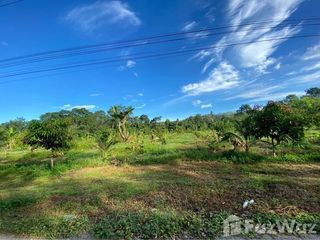 For sale land in Pa Phayom, Phatthalung