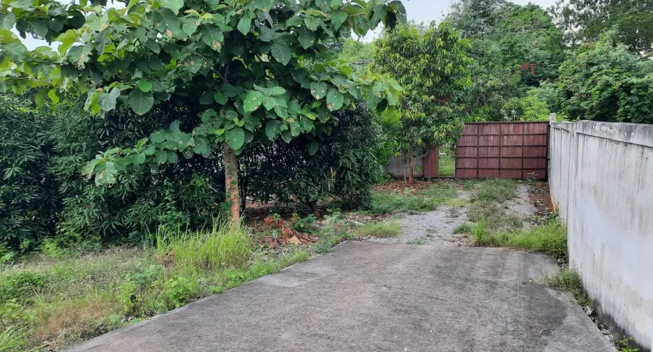 For rent 4 bed house in Pak Chong, Nakhon Ratchasima