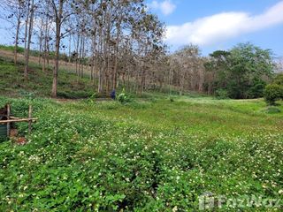 For sale land in Mae Chan, Chiang Rai