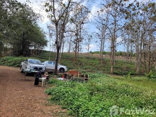 For sale land in Mae Chan, Chiang Rai