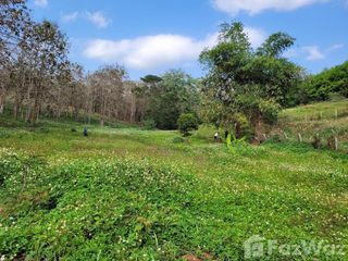 For sale land in Mae Chan, Chiang Rai