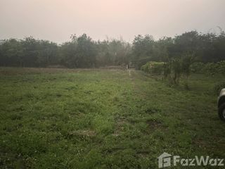 For sale land in Chiang Dao, Chiang Mai