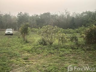 For sale land in Chiang Dao, Chiang Mai