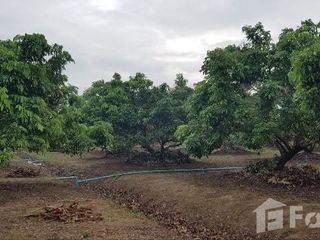 For sale land in San Pa Tong, Chiang Mai