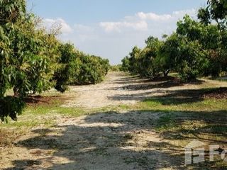 For sale land in San Pa Tong, Chiang Mai
