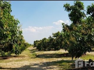 For sale land in San Pa Tong, Chiang Mai