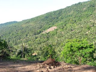 For sale land in Ko Samui, Surat Thani