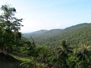 For sale land in Ko Samui, Surat Thani
