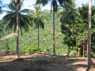 For sale land in Ko Samui, Surat Thani