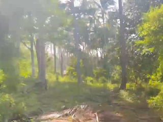 For sale land in Ko Samui, Surat Thani