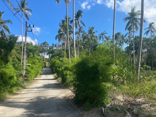 For sale land in Ko Samui, Surat Thani