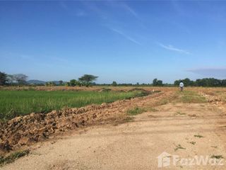 For sale land in Manorom, Chainat