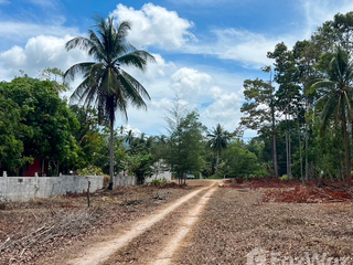 For sale land in Khanom, Nakhon Si Thammarat