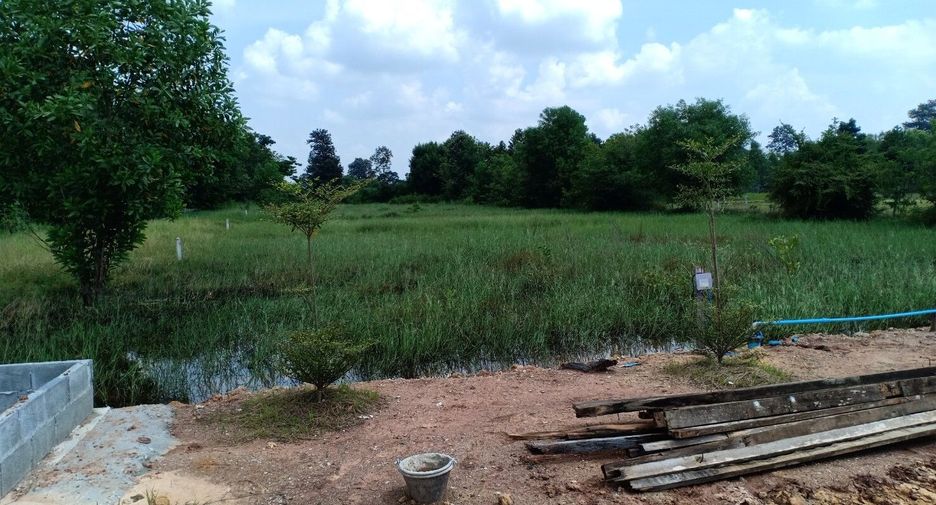 For sale land in Mueang Surin, Surin